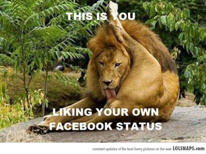 De ce faci live pe FaceBook?