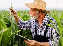 Ghid complet pentru creditele agricole: Cum obții finanțare pentru fermă