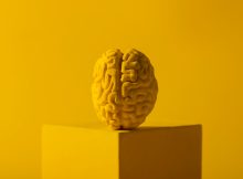 Un an ciudat, un final bun și multă încredere pentru 2026